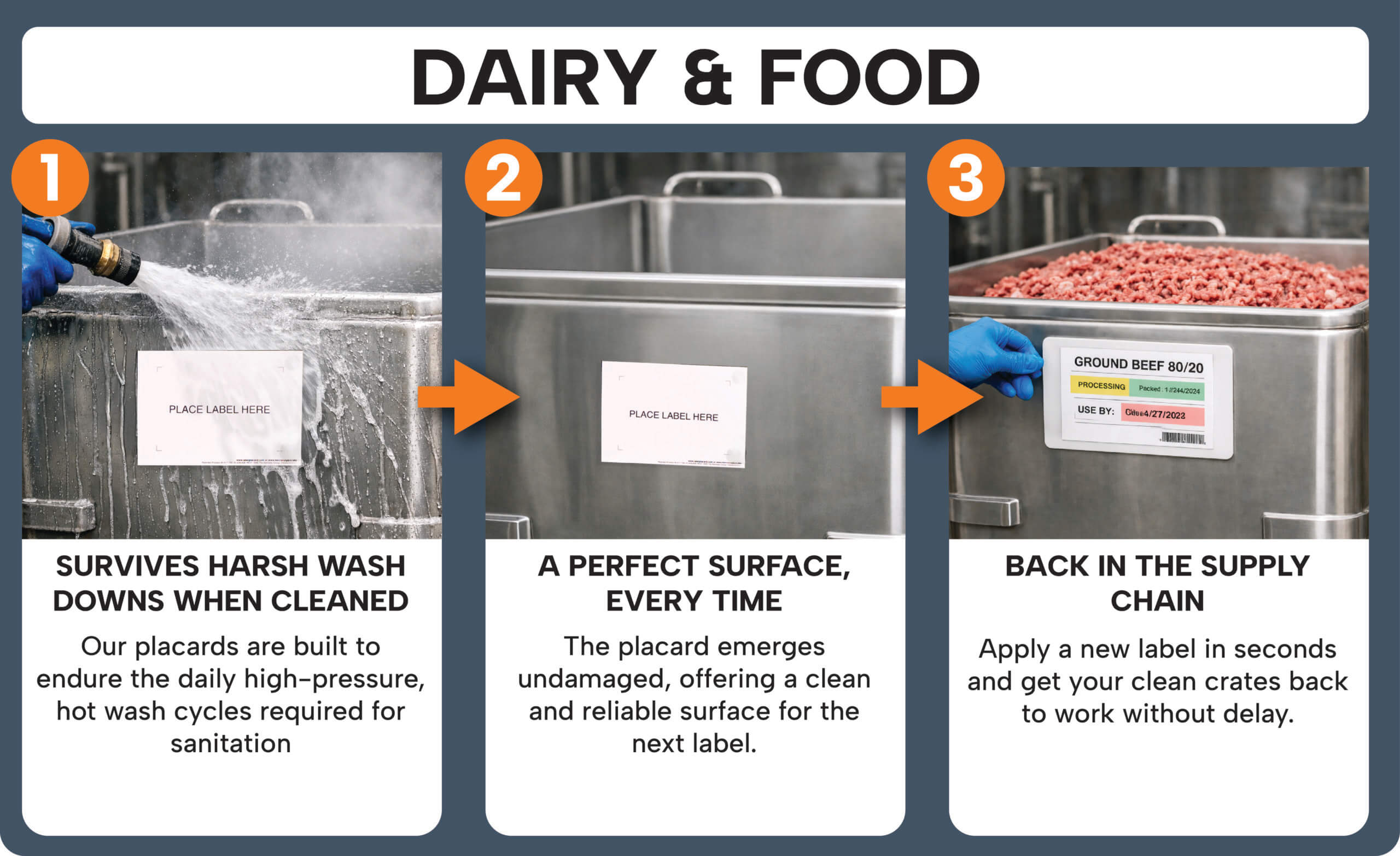 Dairy and Food scaled 1